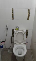 Blk 420 Casa Clementi (Clementi), HDB 4 Rooms #514088721